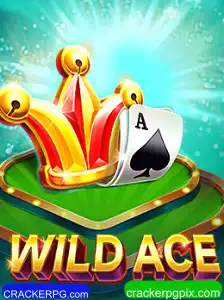 Explorando o Universo de WildAce no CRACKERPG.com
